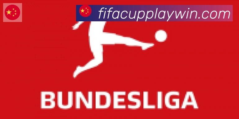 FIFA世界杯竞猜入口合作伙伴